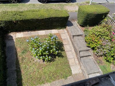 Picture 21